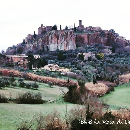 La Rosa Di Orvieto Bed and Breakfast Buitenkant foto